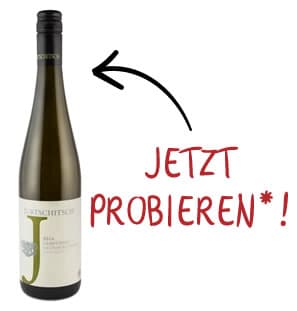 Grüner Veltliner Grashüpfer 2016 vom Weingut Jurtschitsch